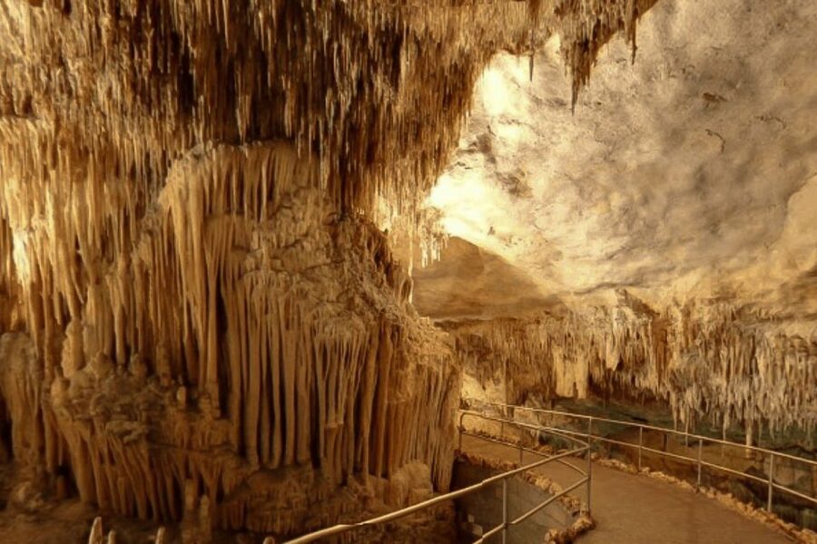 Mallorca: Ticket for Caves of Drach with Pickup Service - Entering through 121 steps