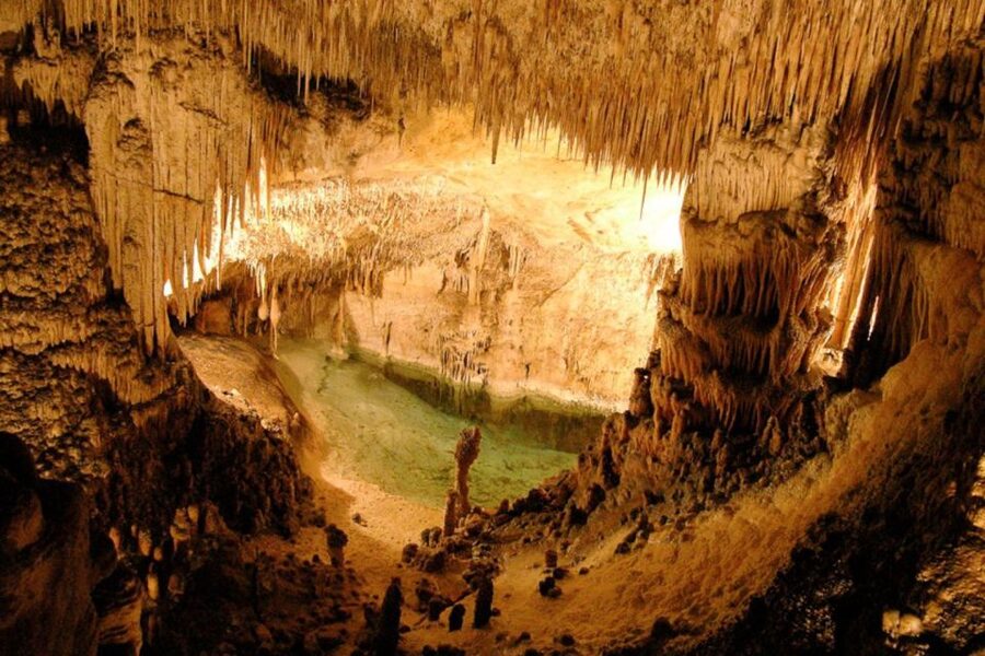 Mallorca: Ticket for Caves of Drach with Pickup Service - The short Porto Cristo stop