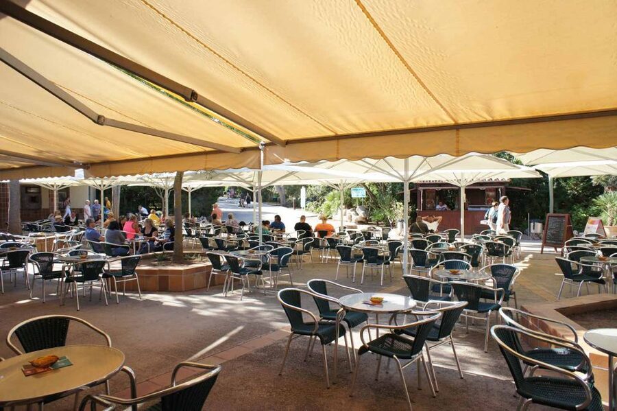 Mallorca: Ticket for Caves of Drach with Pickup Service - Is $64 good value?