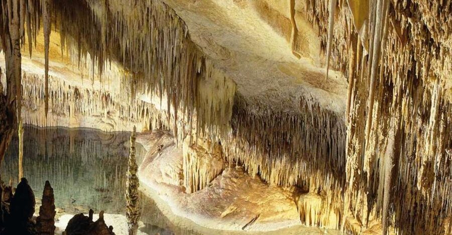Mallorca: Ticket for Caves of Drach with Pickup Service - Pickup from Mallorca: useful, but allow time