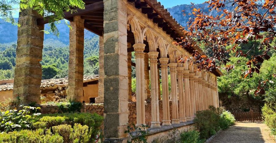 Mallorca: Tramuntana Mountains Tour with Local Guide & Lunch - What this Mallorca tour is really like