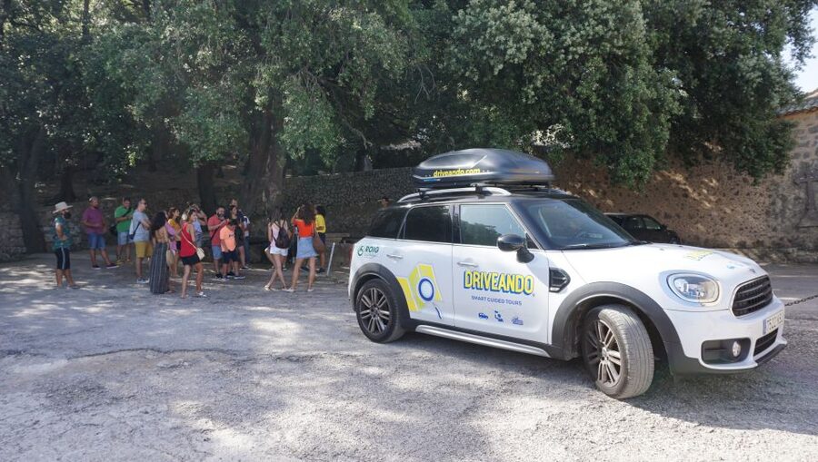 Mallorca: Tramuntana Mountains Tour with Local Guide & Lunch - Sóller, olive oil, and a proper local lunch