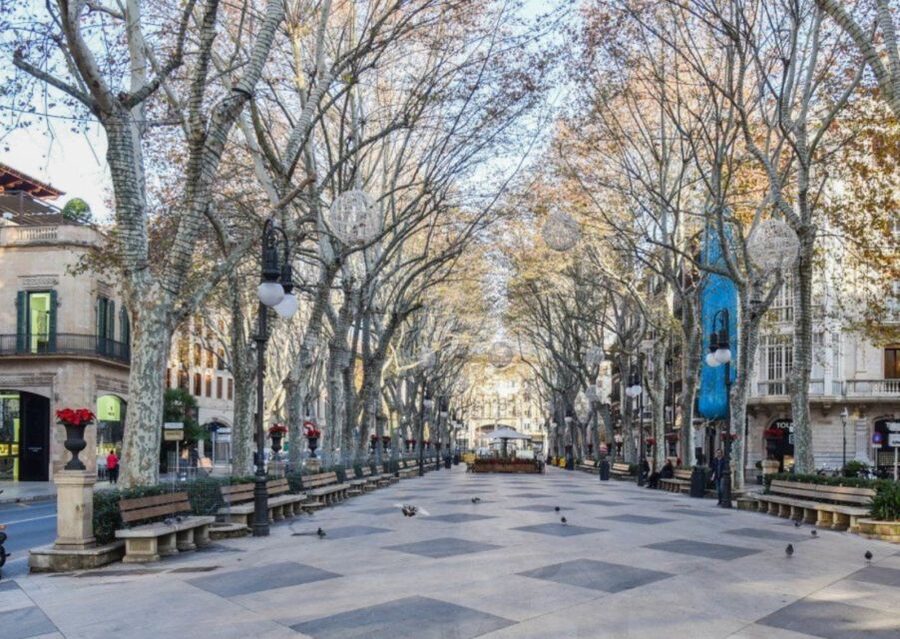 Mallorca: Transfer to Palma self-guided Tour - Key points to know before booking