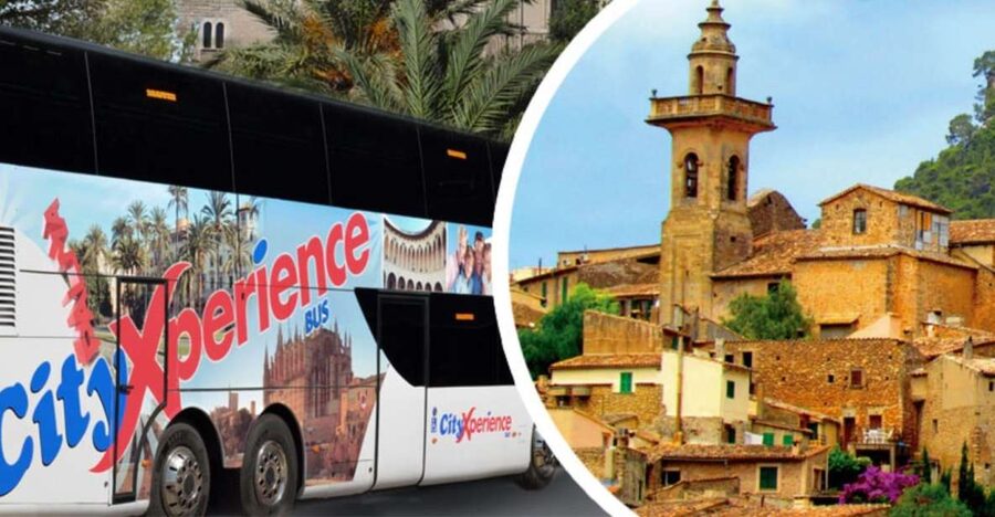 Mallorca: Transfer to Palma self-guided Tour - Shopping, markets, and local food