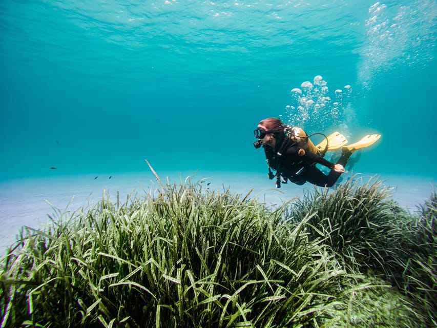 Mallorca: Try Scuba Diving by Boat - A First Underwater Experience, Kept Small