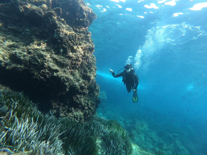 Mallorca: Try Scuba Diving by Boat - Is $123 a Fair Price?