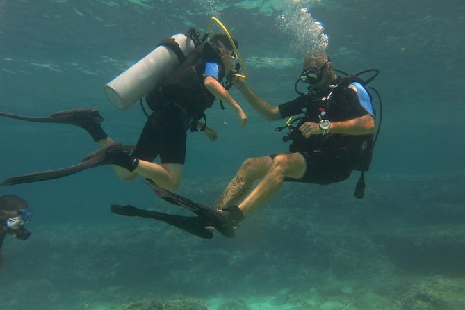 Mallorca: Try Scuba Diving in a Beautiful Nature Reserve - The short trip to the protected marine area