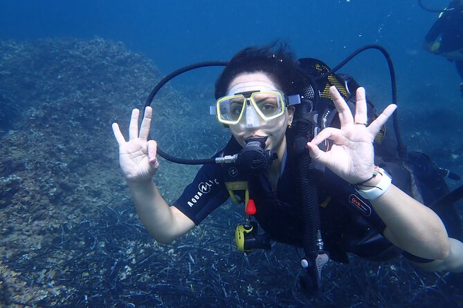 Mallorca: Try Scuba Diving in a Beautiful Nature Reserve - The PADI certificate and what it really means