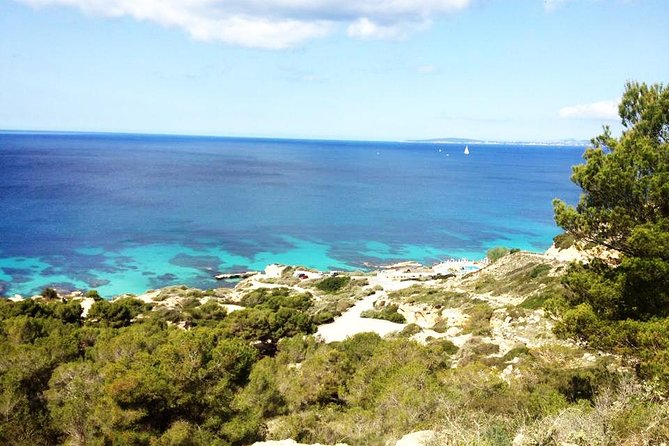 Mallorca: Try Scuba Diving in a Beautiful Nature Reserve - Entering from shore at a maximum of 6 meters