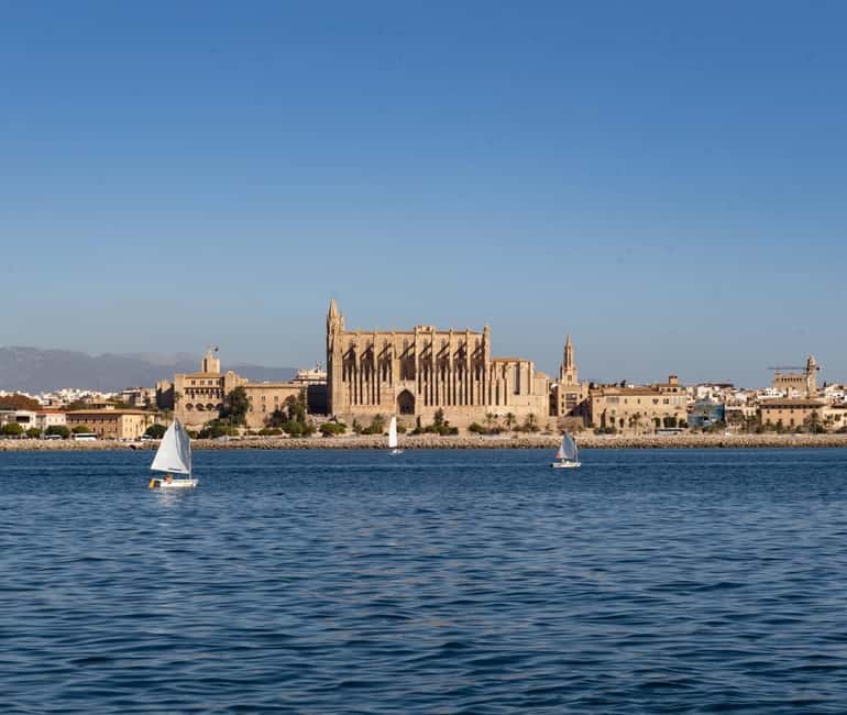 Mallorca: Visit Palma Speedboat adrenaline & snorkelling - Palma Cathedral from the water