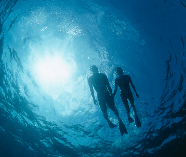 Mallorca: Visit Palma Speedboat adrenaline & snorkelling - What the $51 price gets you
