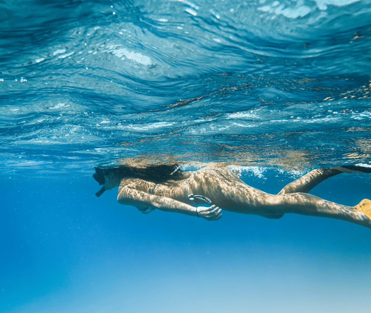 Mallorca: Visit Palma Speedboat adrenaline & snorkelling - Who will enjoy this Palma boat trip?
