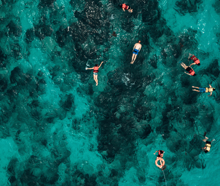 Mallorca: Visit Palma Speedboat adrenaline & snorkelling - My booking advice