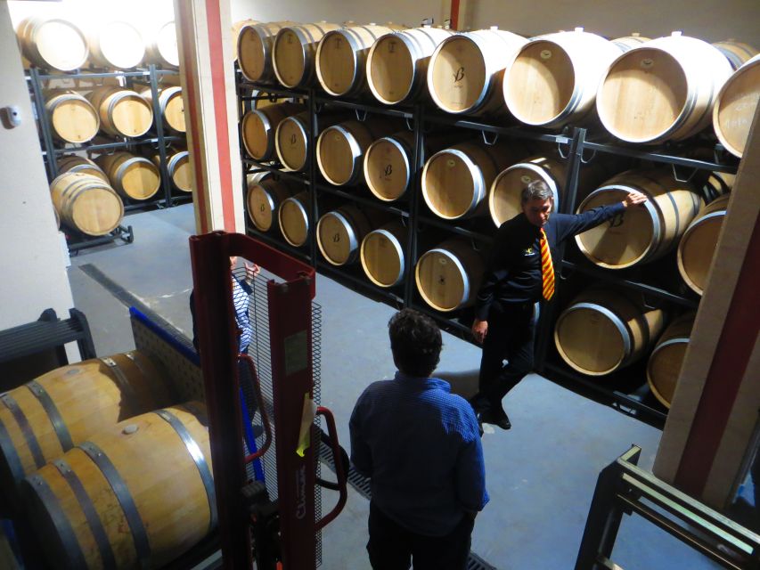 Mallorca: Wine Cellar Tour XL - 3 Wine Tastings incl. GERMAN - Three bodegas, three different views of Mallorca