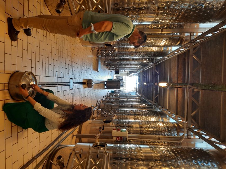 Mallorca: Wine Cellar Tour XL - 3 Wine Tastings incl. GERMAN - What the German-speaking guide adds