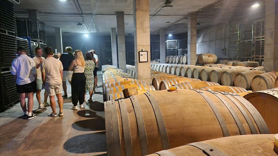 Mallorca: Wine Cellar Tour XL - 3 Wine Tastings incl. GERMAN - Is $191 a fair price?
