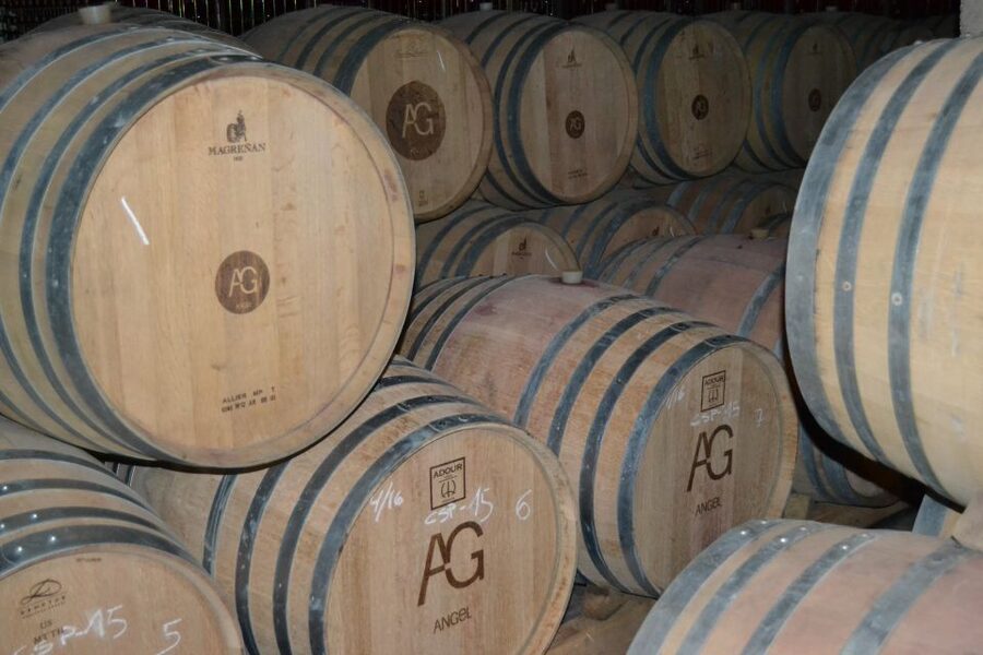 Mallorca: Wine Cellar Tour XL - 3 Wine Tastings incl. GERMAN - Who should book this day?