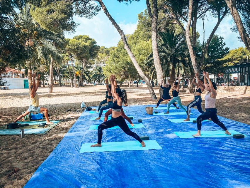 Mallorca: Yoga and Brunch on Palmanova Beach - What the 90-minute Hatha-Vinyasa class is like