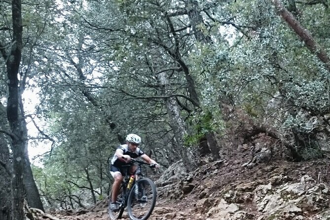 MTB guided tour in Bellver forest and Na Burguesa m.(E-MTB avai.) - From central Palma to Bellver’s forest tracks