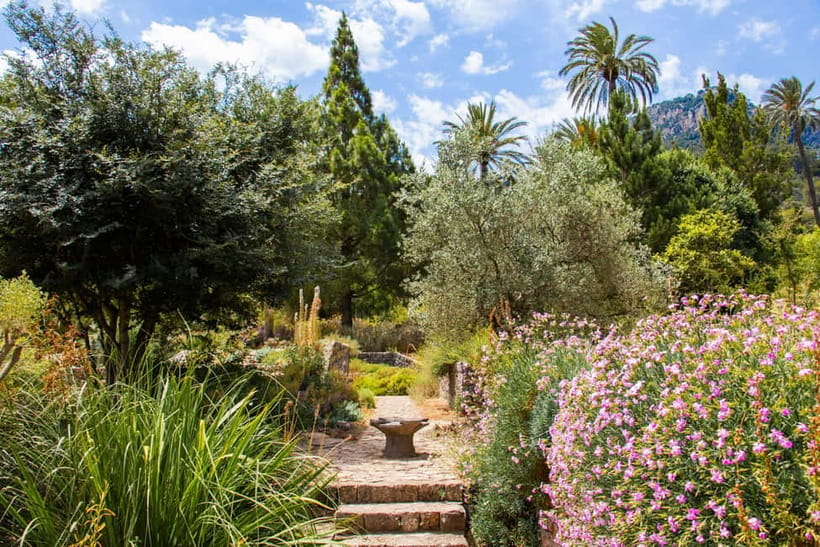 MUCBO | Jardí Botànic de Sóller - Balearic Museum of Natural Sciences - Key points to know before you go