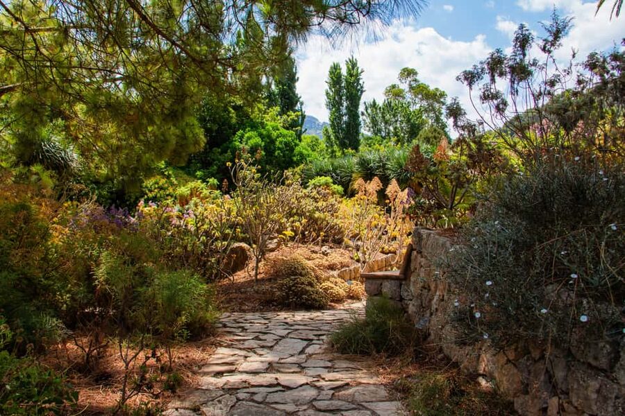 MUCBO | Jardí Botànic de Sóller - Balearic Museum of Natural Sciences - Why MUCBO is different from a standard garden visit