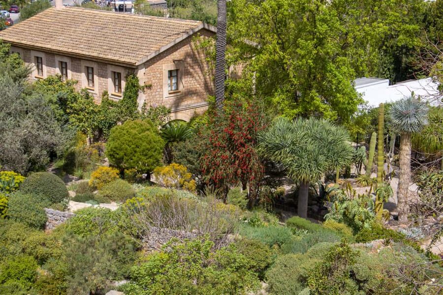 MUCBO | Jardí Botànic de Sóller - Balearic Museum of Natural Sciences - Accessibility, language, and booking flexibility