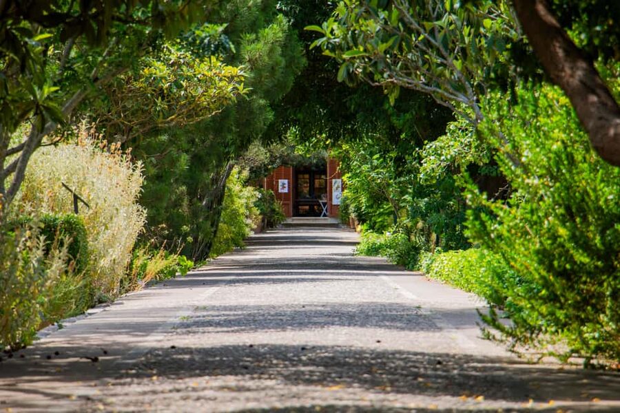 MUCBO | Jardí Botànic de Sóller - Balearic Museum of Natural Sciences - Starting with the Balearic Museum of Natural Sciences