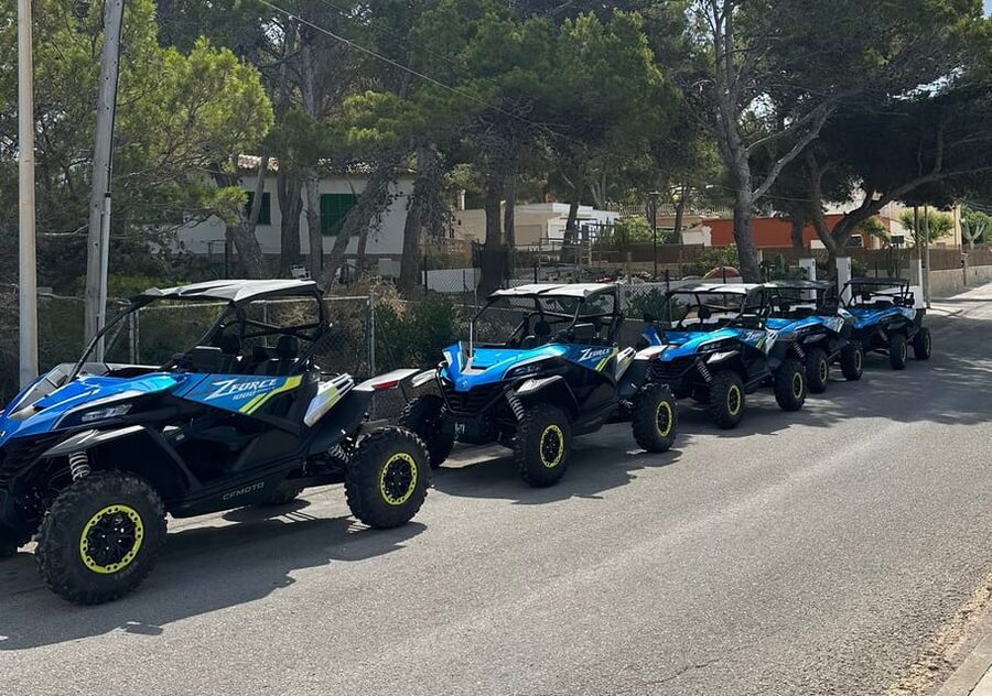 Paguera: 2 Hour Buggy Tour - Key points at a glance
