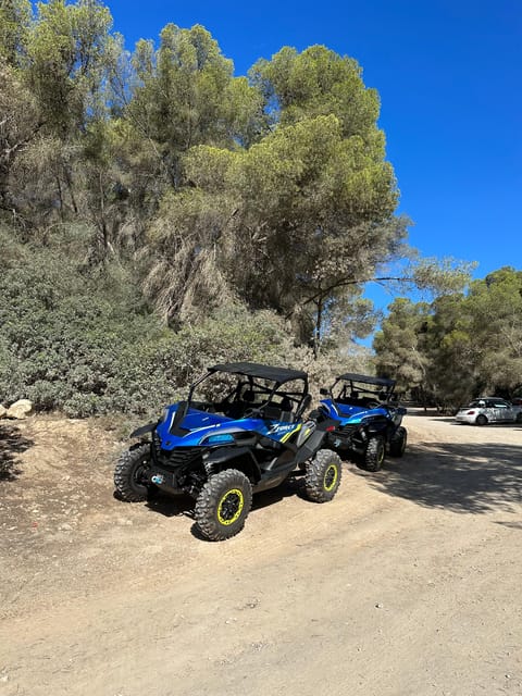 Paguera: 2 Hour Buggy Tour - Starting in Paguera with an automatic buggy