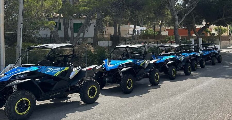 Paguera: 2 Hour Buggy Tour - From Es Capdella into the Andratx hills