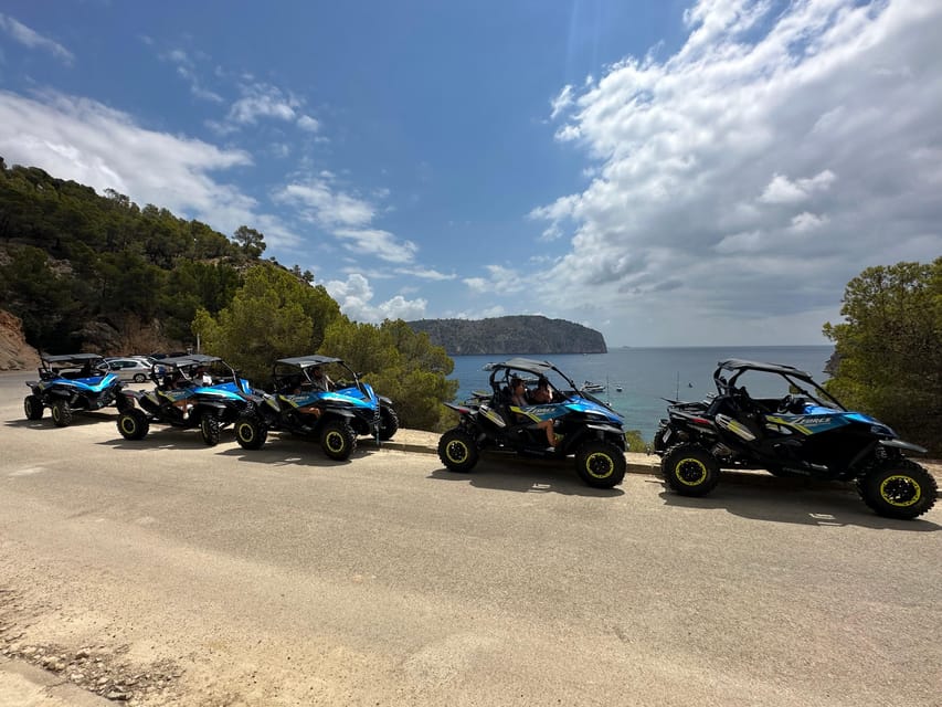 Paguera: 2 Hour Buggy Tour - What the $69 price really covers