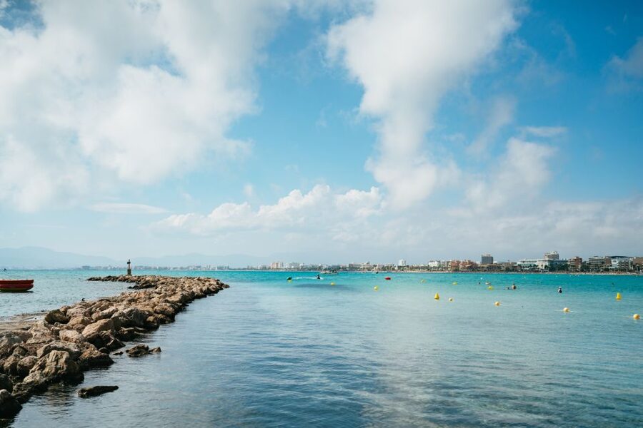 Palma Bay: Parasailing Experience - Ten minutes at 50 meters above the water