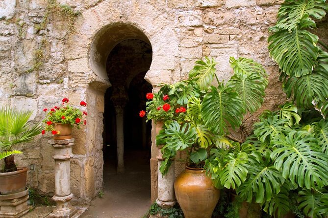 Palma Cathedral & Surroundings PRIVATE TOUR with Ticket Included - Palma in three hours, with La Seu as the anchor