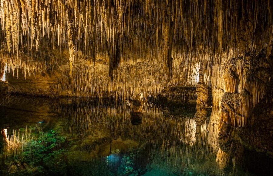 Palma: Caves of Drach Entrance, Music Concert, and Boat Trip - Who should book this excursion