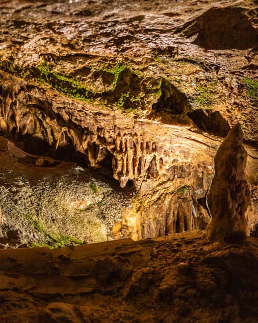 Palma: Caves of Genova Ticket & Digital Informational Video - A small cave system with a big change of scenery