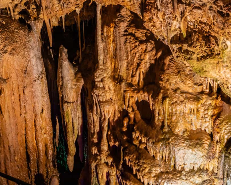 Palma: Caves of Genova Ticket & Digital Informational Video - What happens during the 25-minute visit