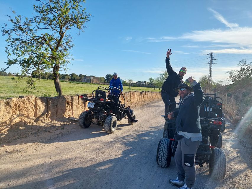 Palma de Mallorca: 2-Seater Buggy Adventure - Key points to know before you book