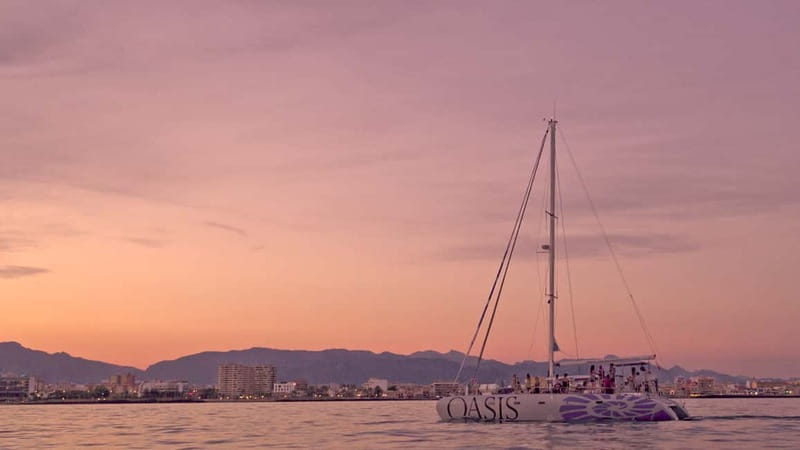 Palma de Mallorca: Deluxe Catamaran Sailing Tour with Meal - The daytime trip and its onboard BBQ