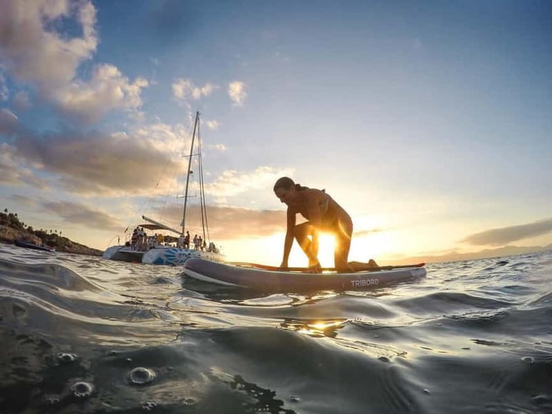 Palma de Mallorca: Deluxe Catamaran Sailing Tour with Meal - Who should book this catamaran trip