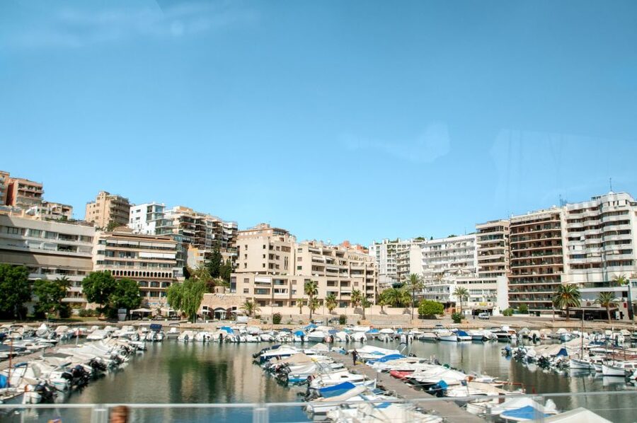 Palma de Mallorca: Full-Day Tour with Departure Options - Key points to know before booking