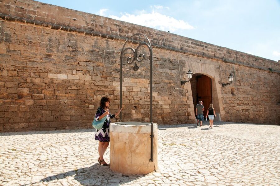 Palma de Mallorca: Full-Day Tour with Departure Options - The value of $35