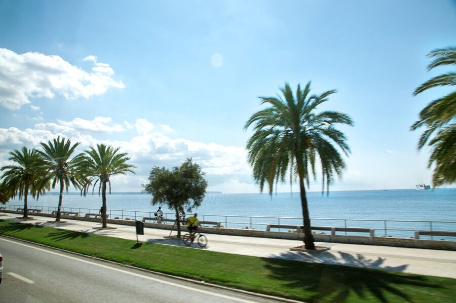 Palma de Mallorca: Full-Day Tour with Departure Options - Arriving beside Palma Cathedral