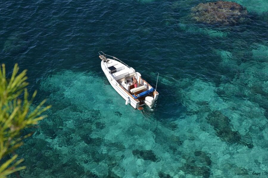 Palma de Mallorca: Full or Half-Day Boat Trip with Brunch - Booking details worth checking