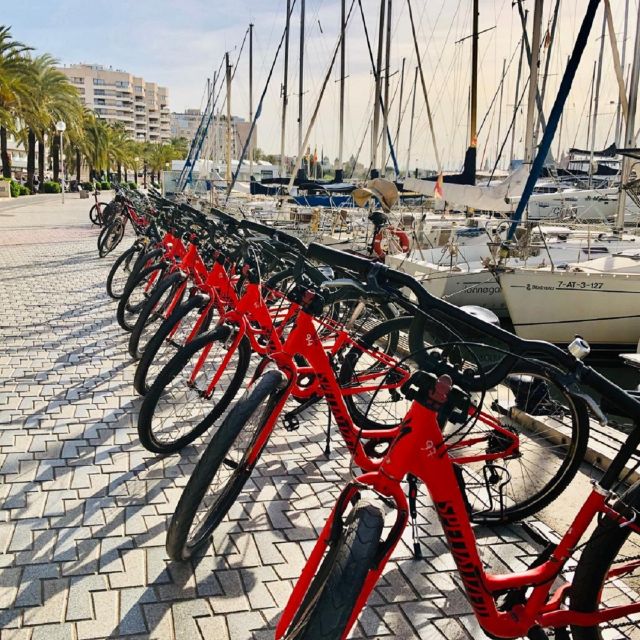 Palma de Mallorca: Guided Bicycle Tour with Tapas & a Drink - Why a bicycle is a smart way to meet Palma