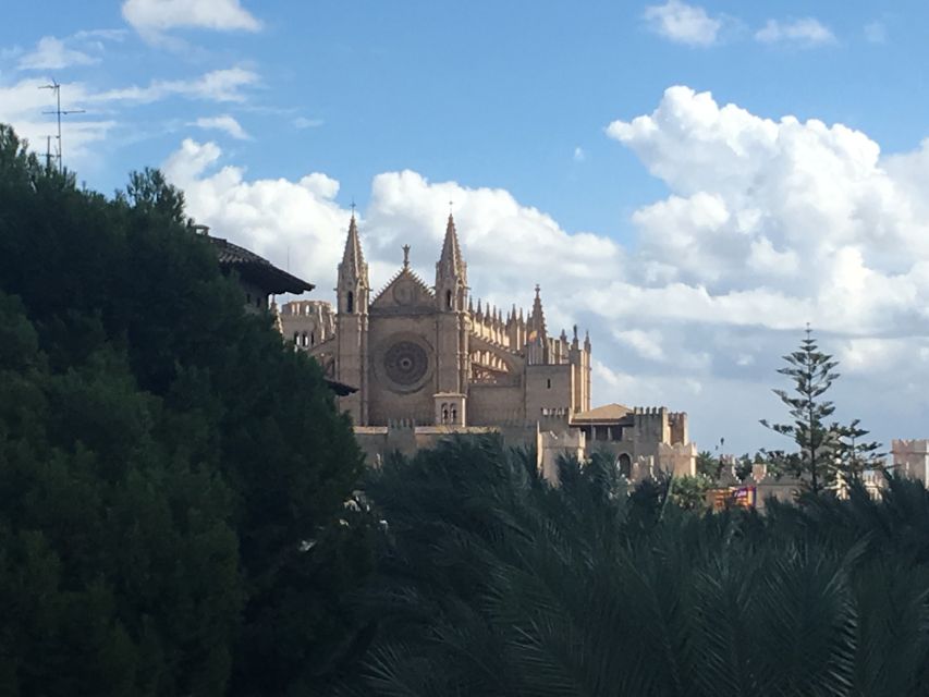 Palma de Mallorca: Guided Tour of the Old Town - Palma’s old town, read from cathedral to courtyard