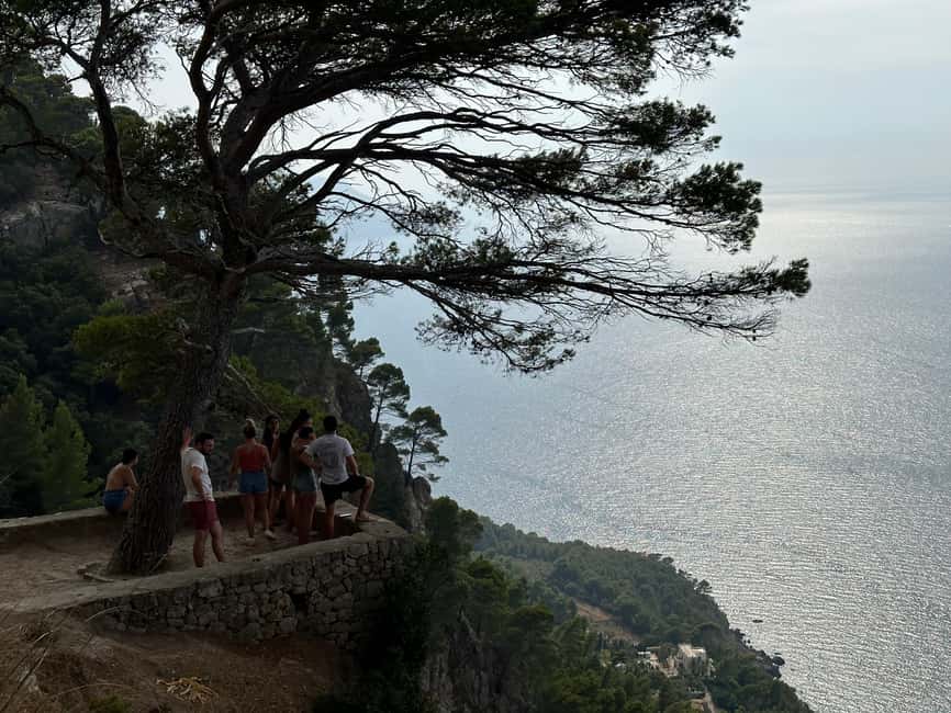 Palma de Mallorca: North Coast Nature Escape Day Tour - Deià gives the day a welcome pause