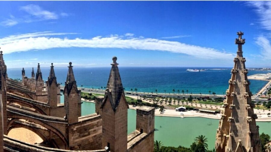 Palma de Mallorca: Old Town Guided Tour & Cathedral Visit - Your free time around Palma’s bay and Old Town