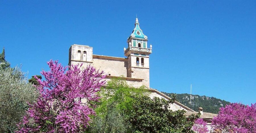Palma de Mallorca: Palma and Valldemossa free time - Free time in Palma: choose your own morning