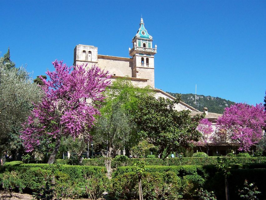 Palma de Mallorca: Palma and Valldemossa free time - Is $56 good value?