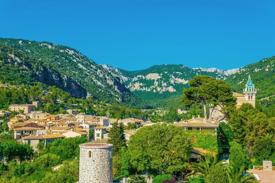 Palma de Mallorca: Palma and Valldemossa free time - Booking tips that prevent trouble